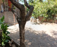 Kirayə (günlük) Həyət evi/villa Avtovağzal m., Biləcəri qəs., Binəqədi r. Kirayə (günlük) Həyət evi/villa Avtovağzal m., Biləcəri qəs., Binəqədi r.