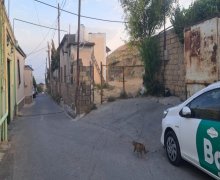 Satılır Torpaq Yeni Günəşli qəs., Suraxanı r. Satılır Torpaq Yeni Günəşli qəs., Suraxanı r.