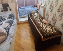 Kirayə (aylıq) Yeni Tikili İnşaatçılar m., Yeni Yasamal qəs., Yasamal r.