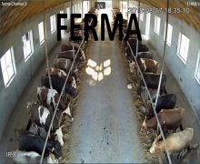 Arenda aylıq obyekt Xaçmaz ş.