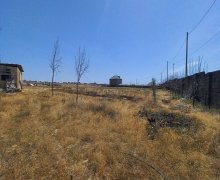 sarayda torpaq satilir Saray, Abşeron r.