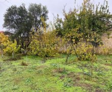 novxanida torpaq satilir Novxanı, Abşeron r.