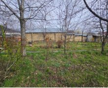 Satılır Torpaq Qəbələ ş.