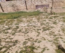 Satılır Torpaq Binə qəs., Xəzər r.