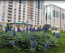 Satılır Yeni Tikili Nəriman Nərimanov m., Nərimanov r.