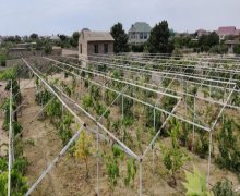 Satılır Torpaq Buzovna, Xəzər r.