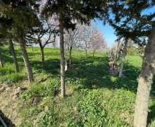 Satılır Bağ evi Şabran ş.