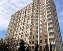 Kirayə (aylıq) Yeni Tikili Əhmədli m., Xətai r.