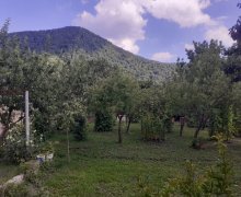 Kirayə (günlük) Həyət evi/villa Qax ş. Kirayə (günlük) Həyət evi/villa Qax ş.