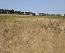 Satılır Torpaq Bilgəh qəs., Sabunçu r.