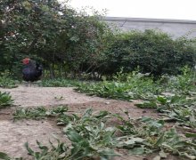 elanlari alqi satqisi elanlari Əhmədli m., Əhmədli, Xətai r.