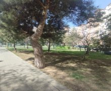 Kirayə (aylıq) Köhnə Tikili Həzi Aslanov m., Xətai r.