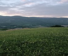 Satılır Torpaq Quba ş. Satılır Torpaq Quba ş.