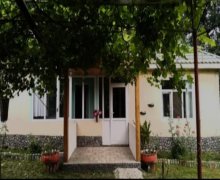Kirayə (günlük) Həyət evi/villa Qəbələ ş.
