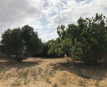 novxanida torpaq satilir Novxanı, Abşeron r.