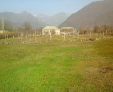 Satılır Torpaq Şamaxı ş.