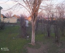 Satılır Həyət evi/villa Cəlilabad ş.