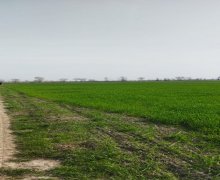 Satılır Torpaq Qusar ş.