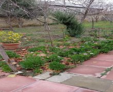 qurd deresi torpaq alqi satqisi Sumqayıt ş.