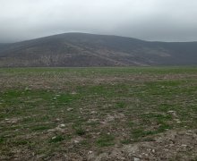 elanlari alqi satqisi elanlari Oğuz ş.