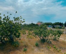 mastagada torpaq alqi satqisi Maştağa qəs., Sabunçu r.