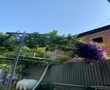 Kirayə (günlük) Həyət evi/villa Zaqatala ş.