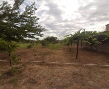 rayonlarda torpaq alqi satqisi Goradil, Abşeron r.