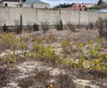 rayonlarda torpaq alqi satqisi Goradil, Abşeron r.