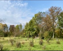 Satılır Torpaq Qəbələ ş.