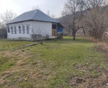 Satılır Torpaq Qəbələ ş.