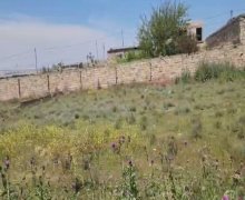 Продажа Участок Туркян, Хязяр р.