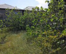 qurd deresi torpaq alqi satqisi Sumqayıt ş.