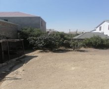 rayonlarda torpaq alqi satqisi Abşeron r.