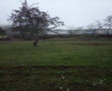 Satılır Torpaq Qusar ş.