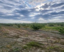 xacmazda torpaq alqi satqisi Xaçmaz ş.