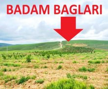 Satılır Obyekt Şamaxı ş.