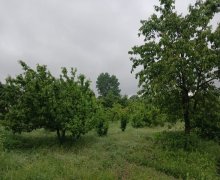 Satılır Torpaq Qusar ş.