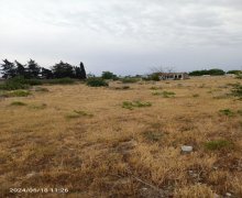 elanlari alqi satqisi elanlari Bilgəh qəs., Sabunçu r.