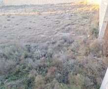 xirdalanda torpaq Xırdalan ş.