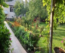 Kirayə (günlük) Həyət evi/villa Qəbələ ş.