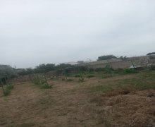 mastagada torpaq alqi satqisi Maştağa qəs., Sabunçu r.