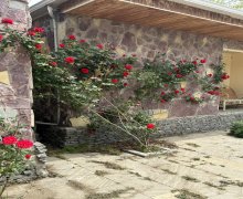 Kirayə (günlük) İstirahət Mərkəzləri Novxanı, Abşeron r.