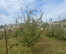 Satılır Torpaq Quba ş. Satılır Torpaq Quba ş.