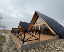 Посуточно Гусар г.