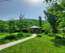 Kirayə (günlük) Həyət evi/villa Qəbələ ş.