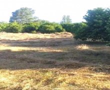 Satılır Torpaq Qəbələ ş.