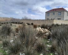 Satılır Torpaq Saray, Abşeron r.