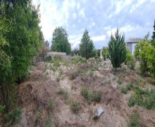 novxanida torpaq satilir Novxanı, Abşeron r.