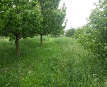 Продажа Участок Самух г.