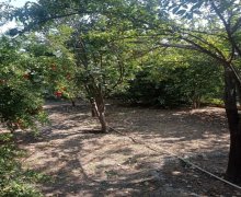 Satılır Həyət evi/villa Goranboy ş.